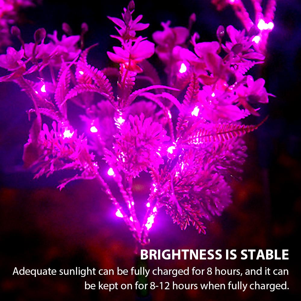 Solar Phalaenopsis Garden Lights – Orchid Flower Lamps (Set of 2) - Shoprova