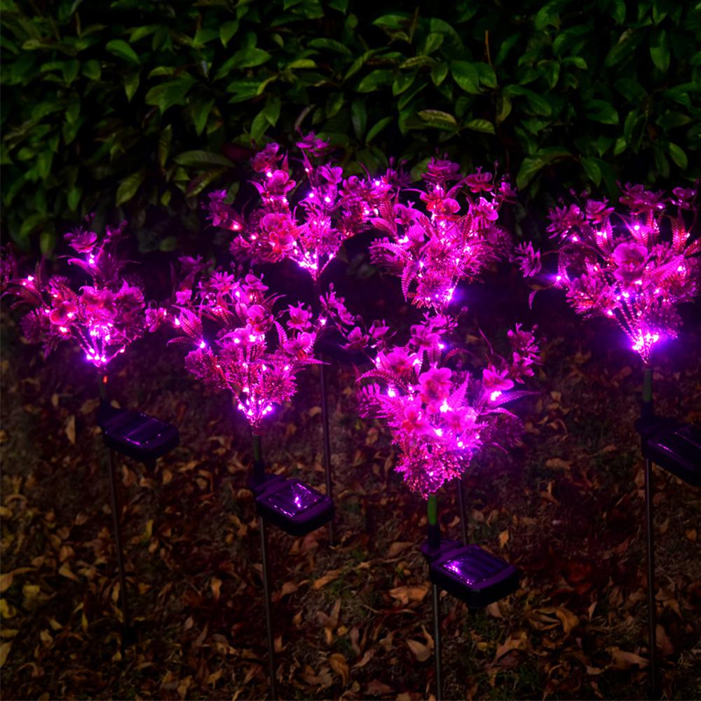 Solar Phalaenopsis Garden Lights – Orchid Flower Lamps (Set of 2) - Shoprova