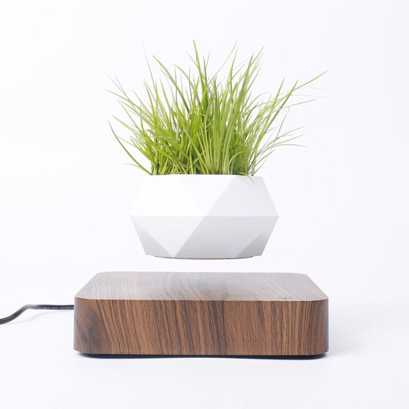 Magnetic Levitating Rotating Flower Pot – Floating Bonsai Planter - Shoprova