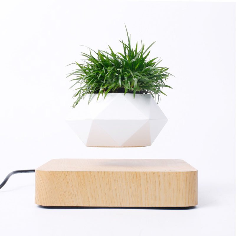 Magnetic Levitating Rotating Flower Pot – Floating Bonsai Planter - Shoprova