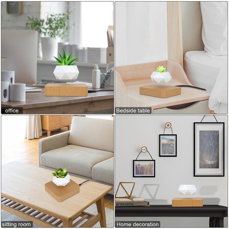 Magnetic Levitating Rotating Flower Pot – Floating Bonsai Planter - Shoprova